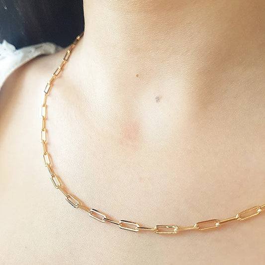 Neck Chain